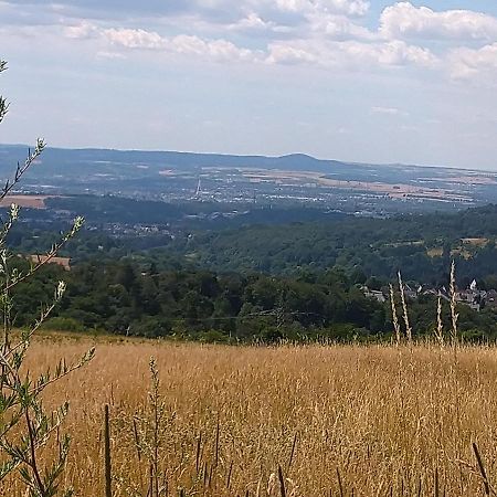 Ferienwohnung Im Naturpark Rhein-Westerwald Rengsdorf المظهر الخارجي الصورة